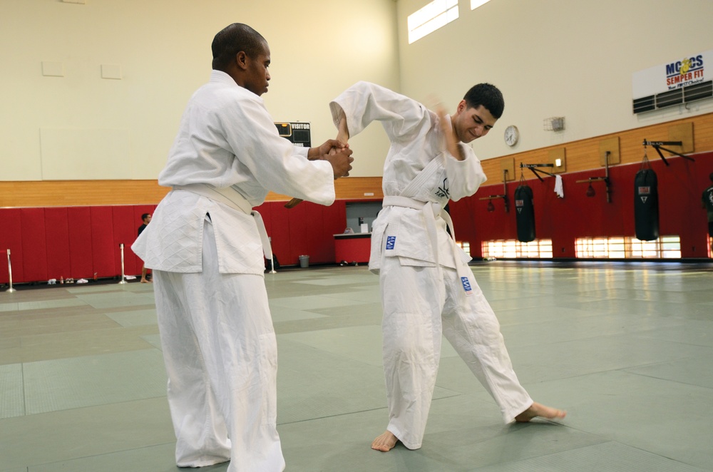 Hansen encouraged to use martial arts room