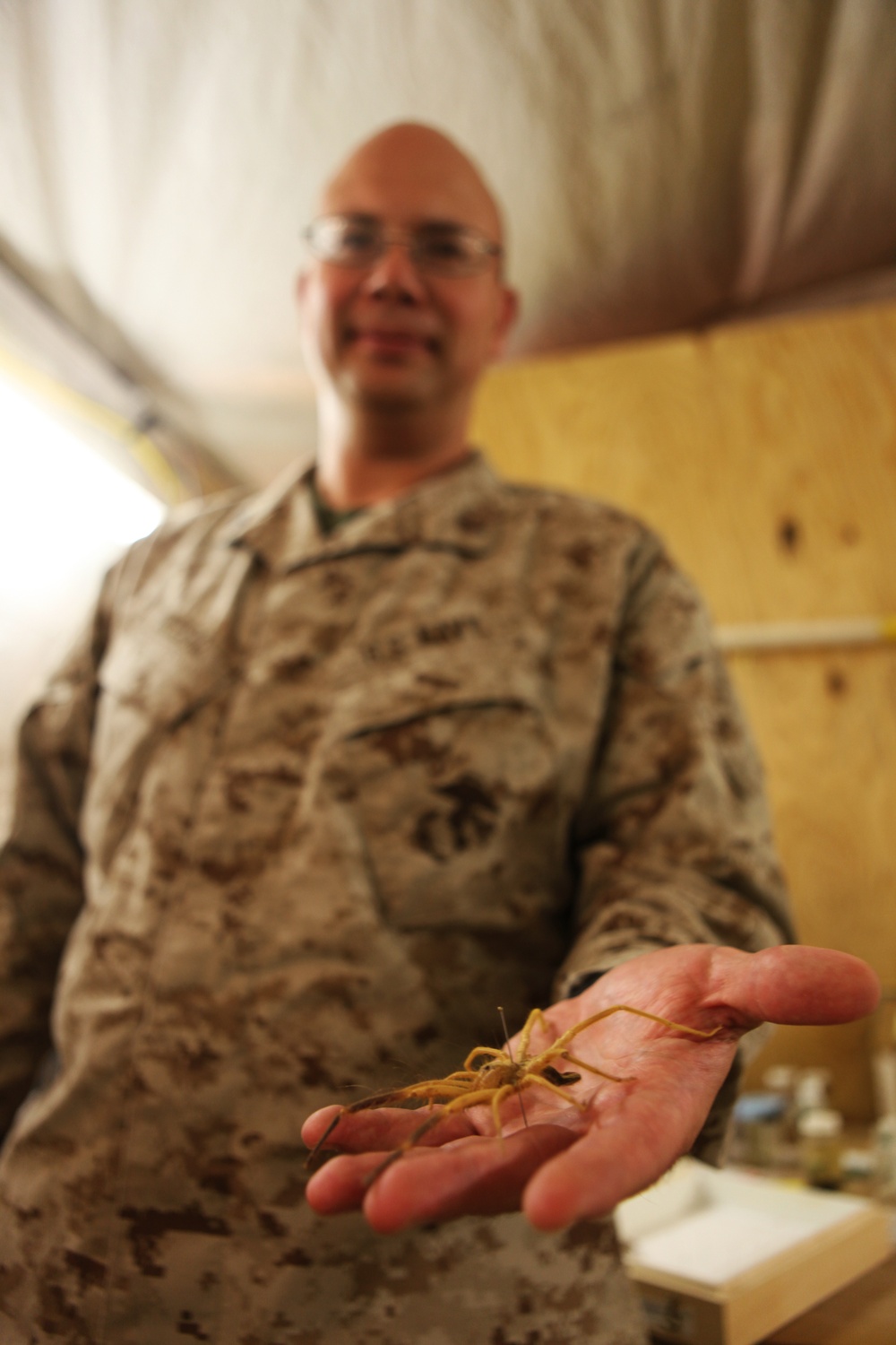 Bug hunter fights own war against insect army