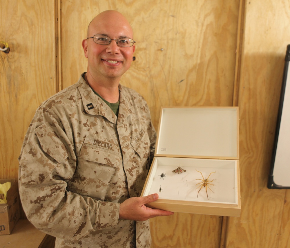 Bug hunter fights own war against insect army