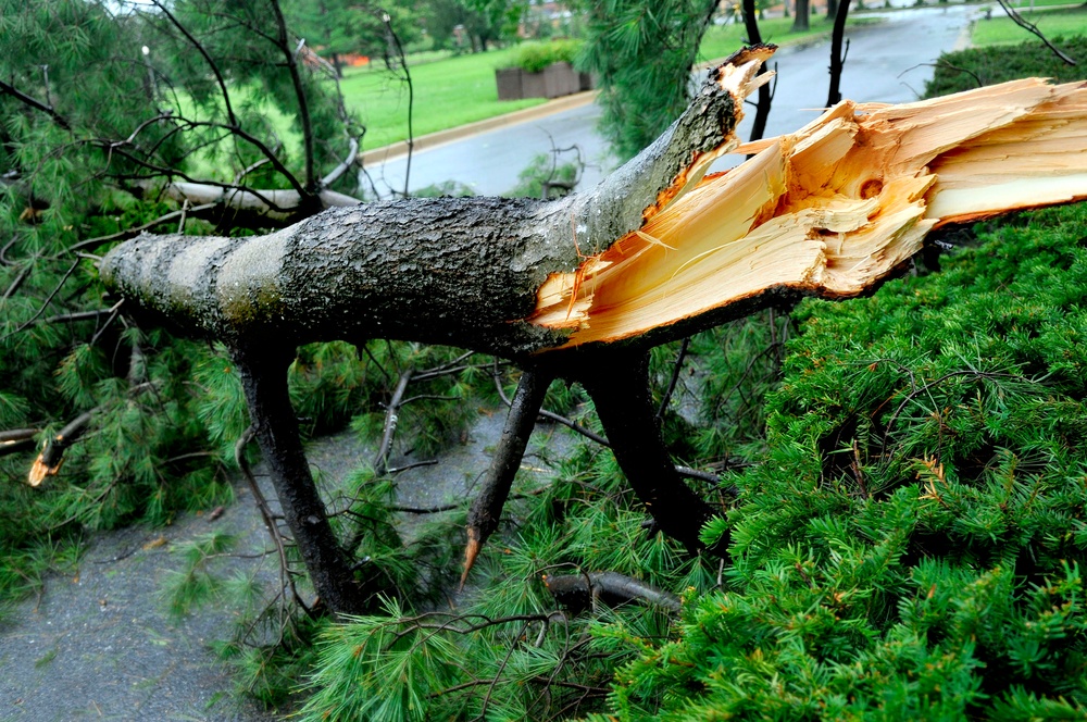 Hurricane Irene damage in DC