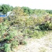 JB MDL picks up after Hurricane Irene