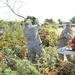 JB MDL picks up after Hurricane Irene
