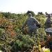 JB MDL picks up after Hurricane Irene