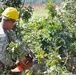 Virginia National Guard soldiers clear fallen trees