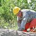 Virginia National Guard soldiers clear fallen trees