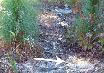 Bait n' wait: MCB Camp Lejeune to allow baiting for bow hunters