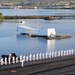 USS Ronald Reagan visits Pearl Harbor