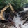 Hurricane Irene damage in Vermont