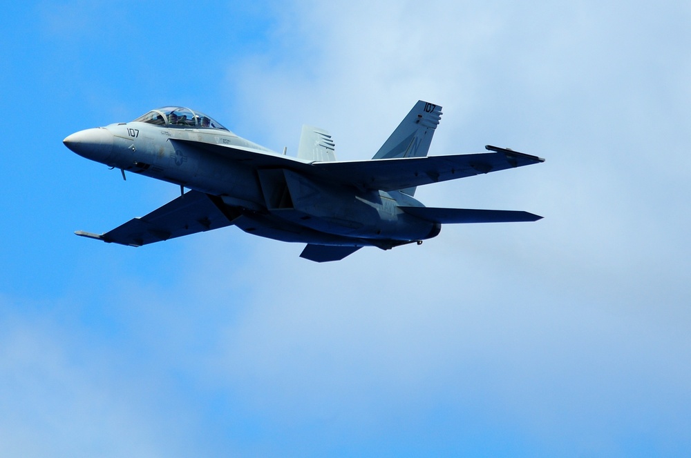 USS Ronald Reagan on tiger cruise