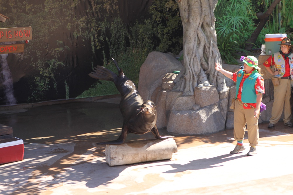 Zoo offers affordable, cultural experience - and animals