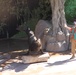 Zoo offers affordable, cultural experience - and animals