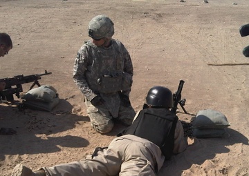 Triple Canopy Training Relationship