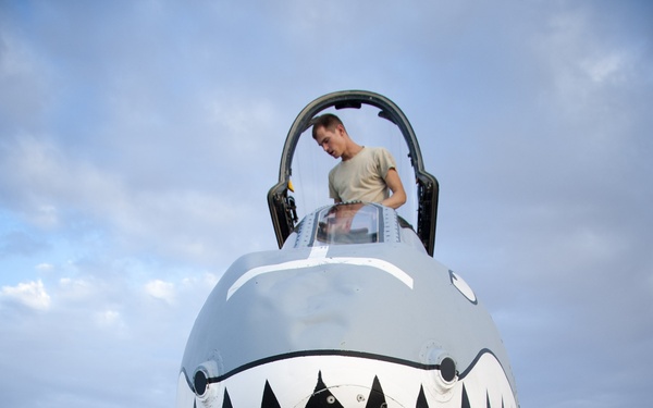 A-10 Warthog