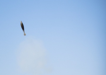 Symphony of fire: ‘America’s Battalion’ air, ground forces combine for fire support coordination exercise