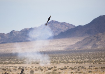 Symphony of fire: ‘America’s Battalion’ air, ground forces combine for fire support coordination exercise