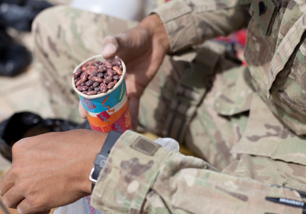 489th Cavalry preps for Operation Viper Slam