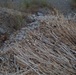 Operation Viper Slam in Wanake Valley