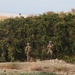 Operation Viper Slam in Wanake Valley
