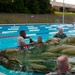 Soldiers make a splash with water survival training