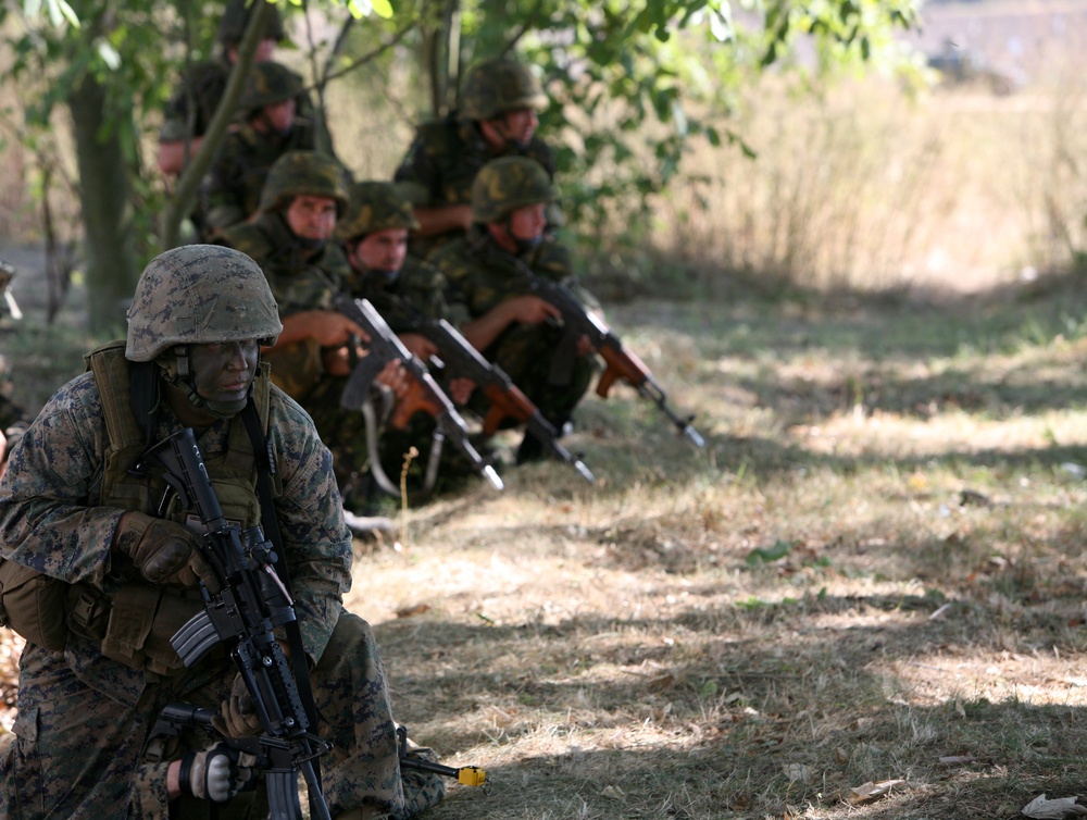 BSRF-11 officially comes to a close in Romania