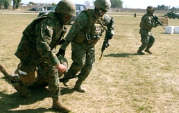 BSRF-11 officially comes to a close in Romania