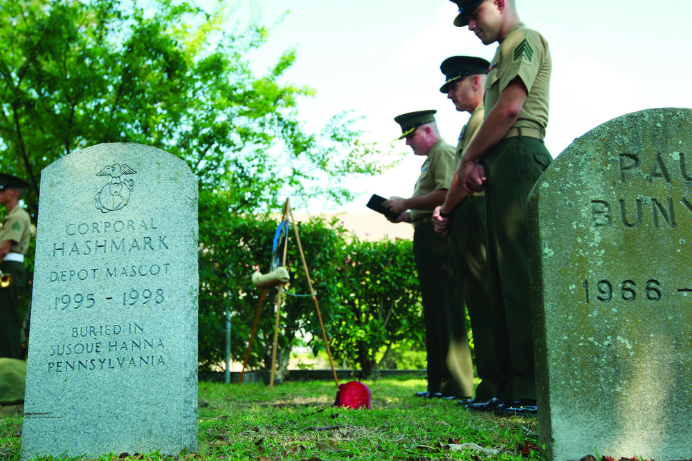 Sgt. Archibald Hummer remembered