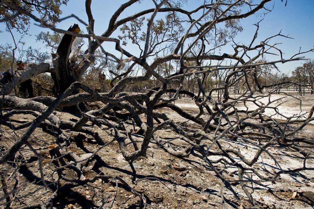 Camp Bullis wild fire