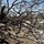 Camp Bullis wild fire