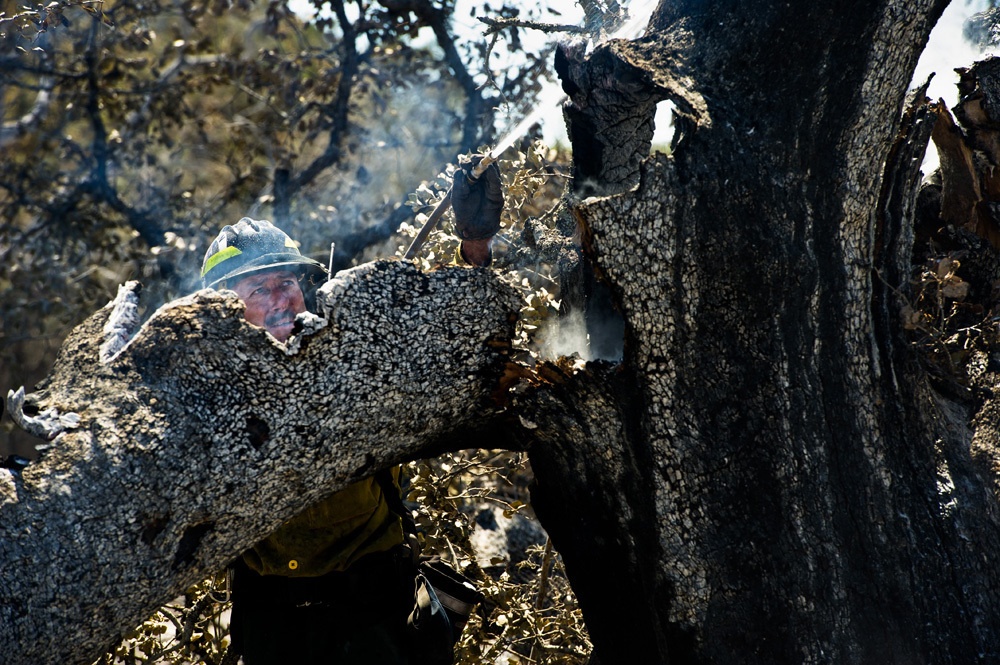 Camp Bullis wild fire