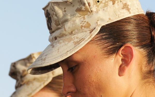 International Security Assistance Force (ISAF)