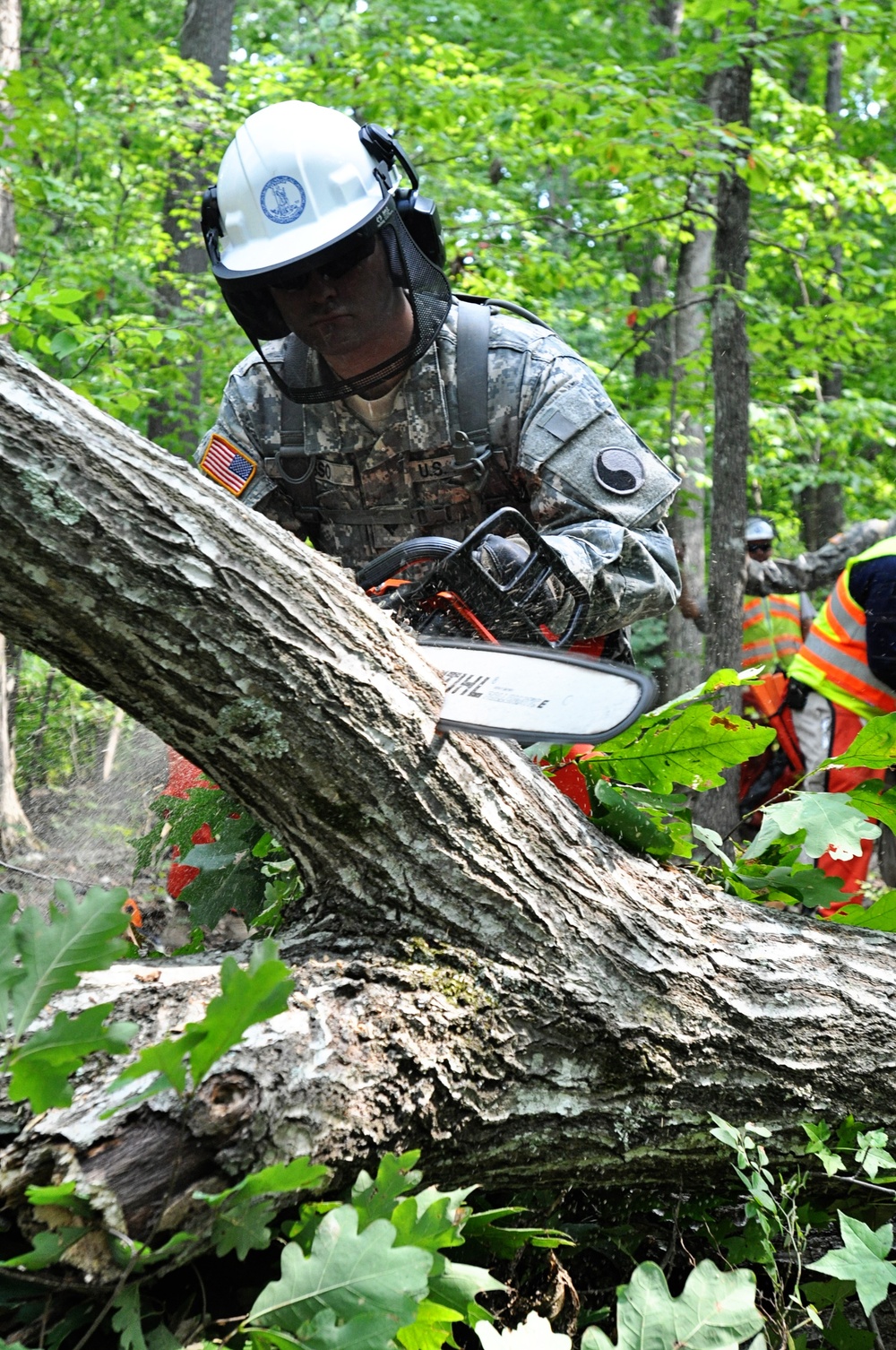 1st Battalion chops down trees during AT