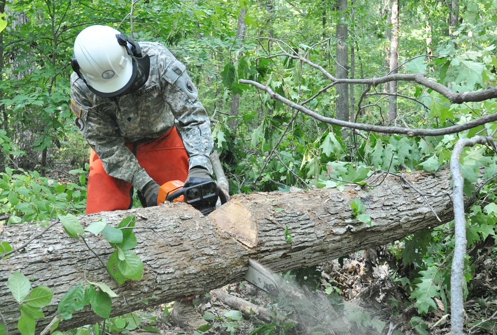 1st Battalion chops down trees during AT