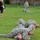 Oregon Army National Guard Military Police train for mobilization Oregon Army National Guard Military Police train for mobilization