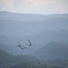 Ospreys demonstrate unique aerial capabilities in Belize