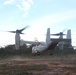 Ospreys demonstrate unique aerial capabilities in Belize