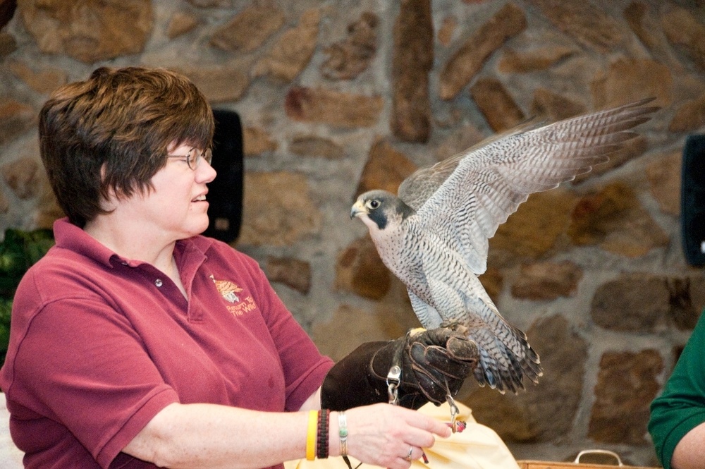 Raptors find new home at Atterbury