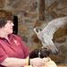 Raptors find new home at Atterbury