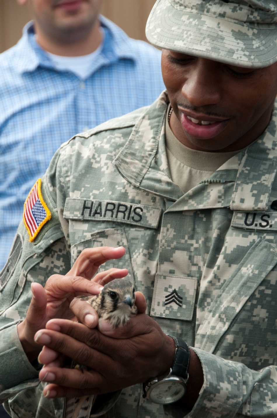 Raptors find new home at Atterbury