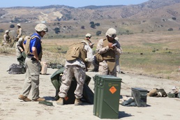 IDFM Non-lethal Program looks for knowledge of mortar systems