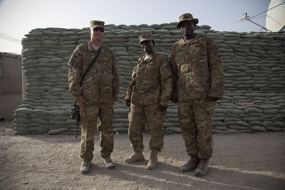 Wounded Warriors