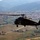 New SACEUR makes first visit to Kosovo A black military helicopter marked 'KFOR' (Kosovo Force) is captured in flight over a rural/suburban landscape with red-roofed buildings and rolling hills in the background. The aircraft appears to be a UH-60 Black Hawk helicopter operating as part of NATO's Kosovo Force peacekeeping mission. The image is taken from another airborne platform, providing an air-to-air perspective.