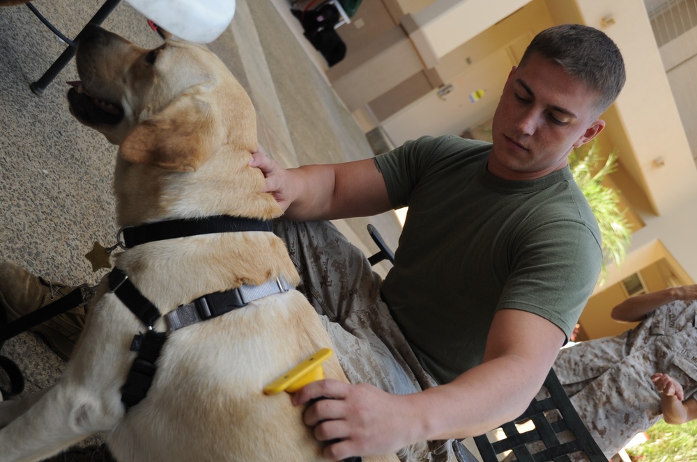 Service dogs mend Wounded Warrior spirit