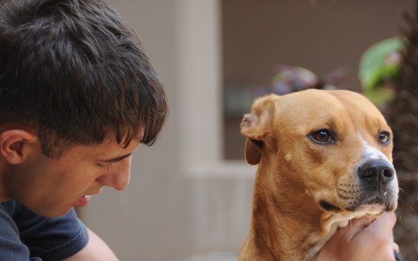 Service dogs mend Wounded Warrior spirit