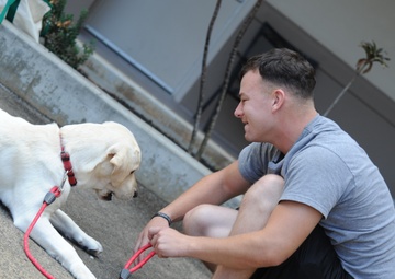 Service dogs mend Wounded Warrior spirit