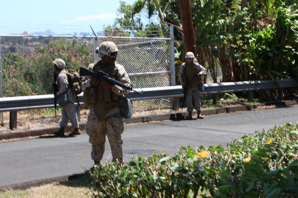 Combat Camera training exercise