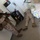 Combat Camera training exercise