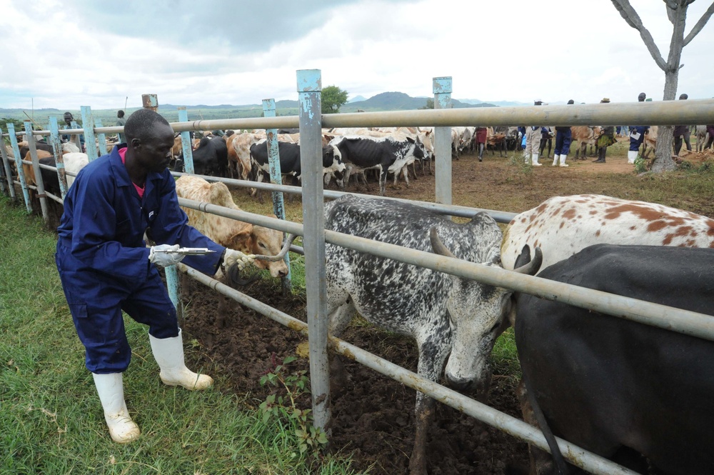 Uganda, US Come Together For Animal Education
