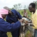 Uganda, US come together for animal education