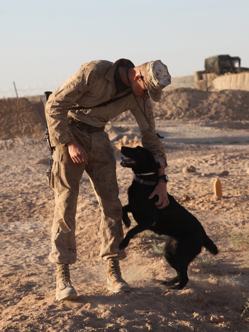 Detection dogs lead the way for 3/6 Marines