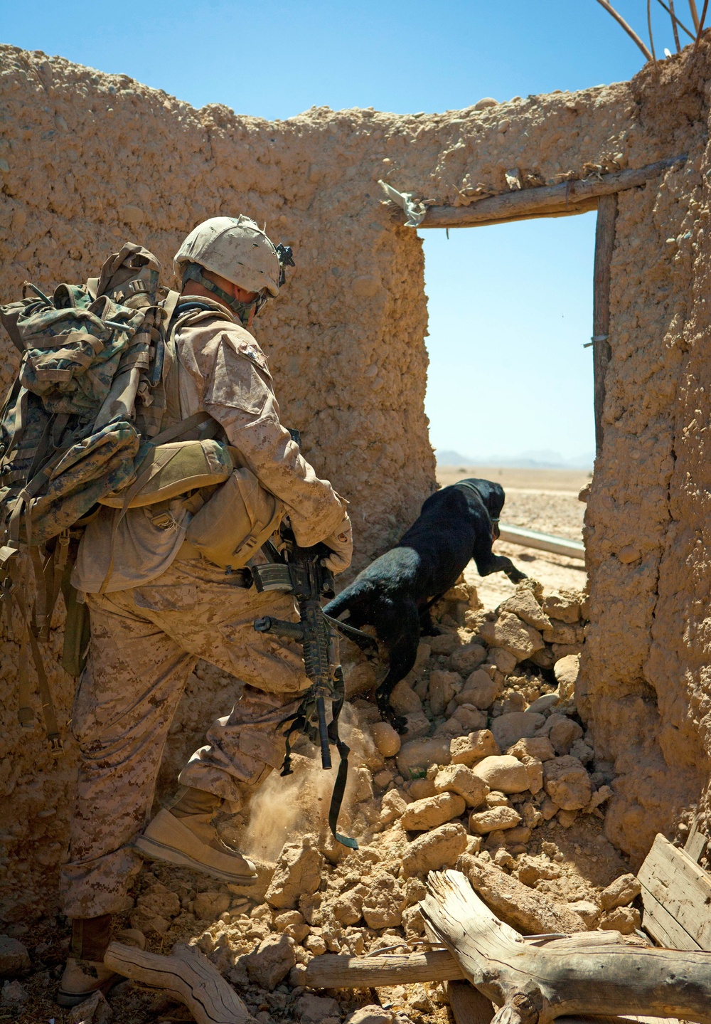 Marine and dog exit compound